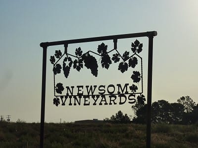 Newsom Vineyards - Sign