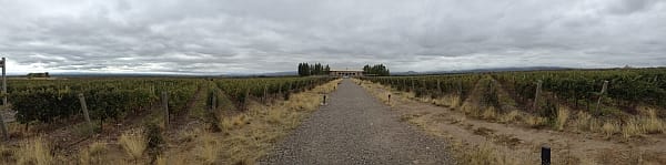 Salentein - winery and vineyard