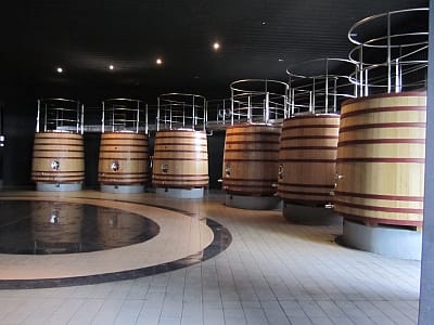 Salentein - large barrels