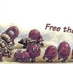 Free The Grapes