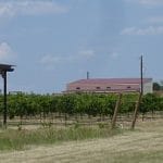 Blue Lotus Winery and Texas Mead Works
