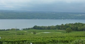 Vineyards over Seneca Lake
