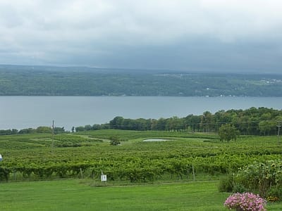Vineyards over Seneca Lake
