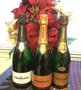 Ferrari Wines