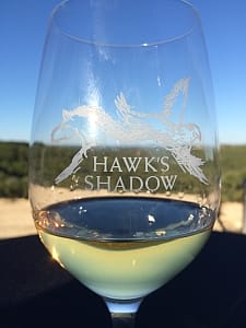 Hawk's Shadow - glass