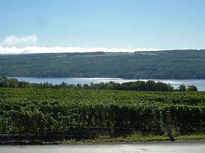 Dr. Frank Wines - overlooking the vineyard and lake