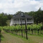BarnHaus Vineyards with a Winery Preview