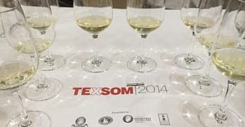 TEXSOM - tasting at a seminar