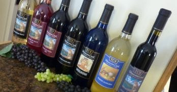 Tehuacana Creek Vineyards bottles