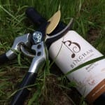 Review of Bingham Family Vineyards Dugout