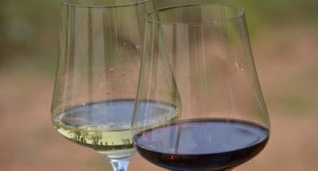 Gabriel-Glas wine glasses