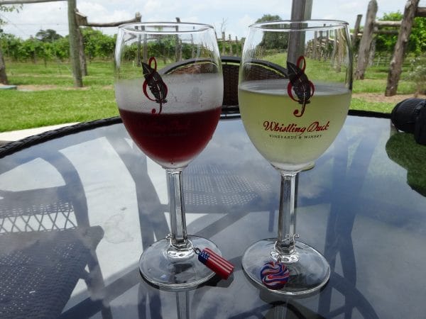 Whistling Duck Vineyards & Winery