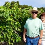 TWL017 – Alamosa Wine Cellars Farewell