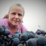 Wedding Oak Winery 2015 Harvest Report