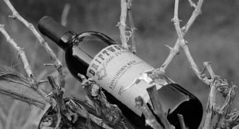 Driftwood Estate Winery Longhorn Red 2012 bottle