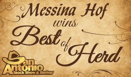 Messina Hof Best of Herd