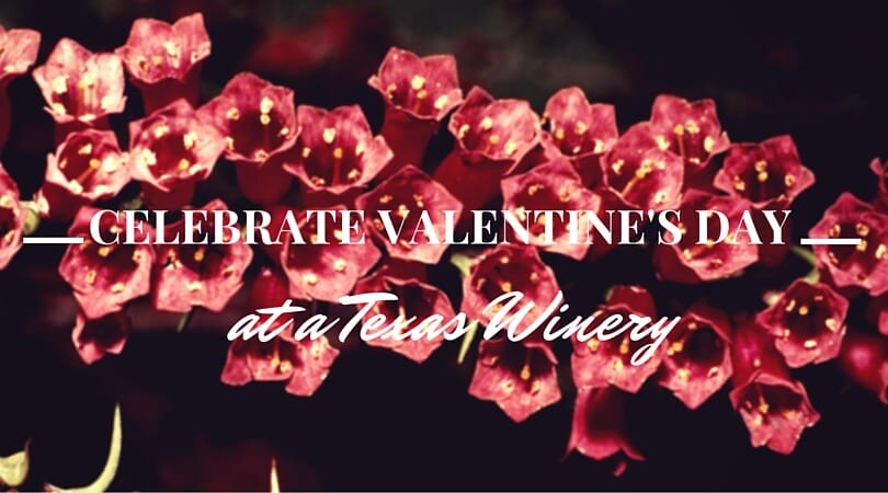 Celebrate Valentine's Day at a Texas Winery
