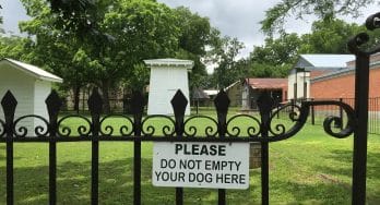 Please Don't Empty Your Dogs