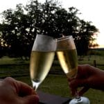 Texas Wine Country Fall 2016 – Part 2