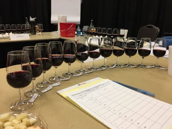 Wine Judging