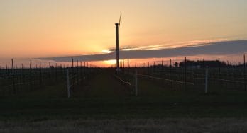 Wind Turbine at Sunrise