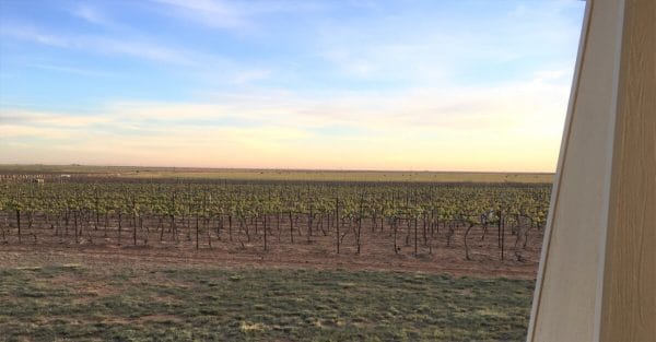 Buena Suerte Vineyards – a view from the Day’s side porch