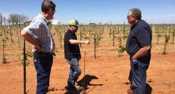 Jeremy Nelson pointing out young vines in his Soleado Vineyards in Seagraves to Shelly Ware & Carl Hudson