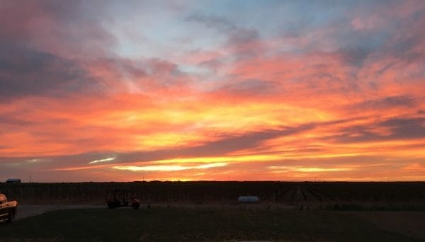 A beautiful Texas High Plains Sunset at Buena Suerte Vineyards