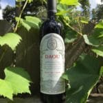 DAOU Vineyards & Winery Estate Soul of a Lion 2014 Wine Review