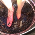 Grape Stomping in Texas 2018