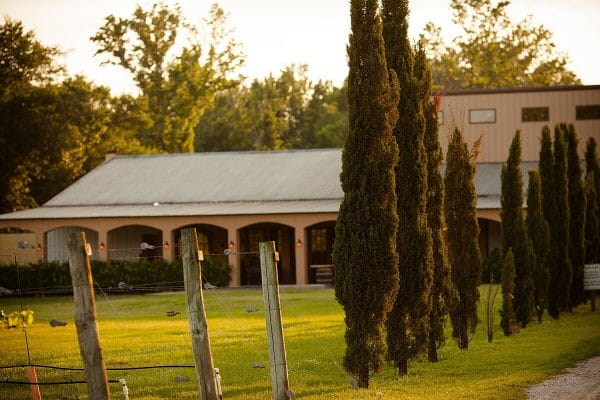 Los Pinos Ranch Vineyards building