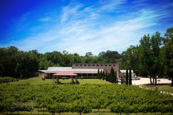 Los Pinos Ranch Vineyards estate