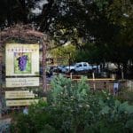 Music and Wine: Visiting The Grapevine in Gruene