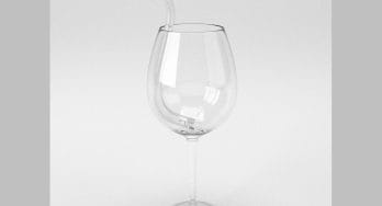 D'Vine Wine Straw glass