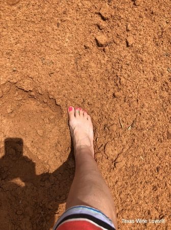 Foot in Sandy Soil