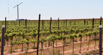 Wind machine in vineyard – helps to protect grapevines from spring frost episodes by moving warmer air from above to displace colder air near the ground