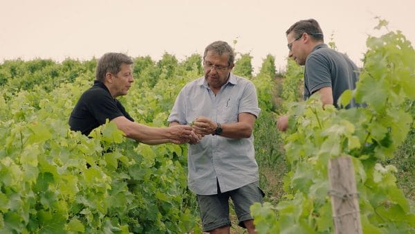Henri Bourgeois - Arnaud, Lionel and Jean-Christophe in the vineyard