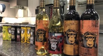 Infinite Monkey Theorem's wines