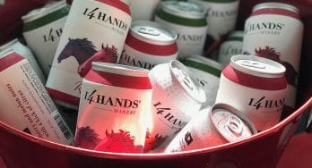 14 Hands Winery canned wines in bucket