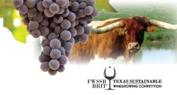 FWSSR-BRIT Texas Sustainable Winegrowing Competition