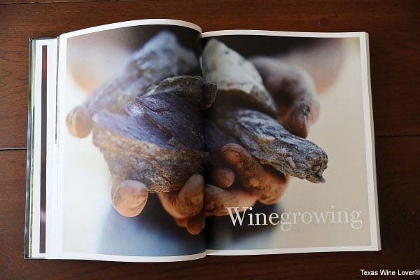 Winegrowing pages from Wine from Grape to Glass