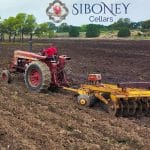 Siboney Cellars – Vineyard Planting and Spring Release Event Preview