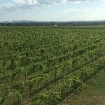 William Chris Wine Company Announces Acquisition of Hoover Valley Vineyard