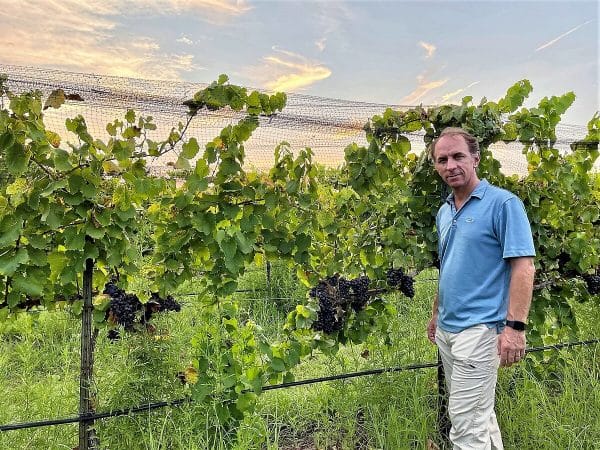 Fall Creek Vineyards Harvest with Sergio Cuadra