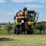 Harvest 2021 at Rustic Spur Vineyards