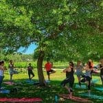 Vino Vinyasa Announces the First Wine & Yoga Retreat in the Texas Hill Country