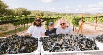 2022 Texas Heritage Vineyard Harvest (Tyler, Susan and Billy Johnson )