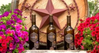 FlorVino wines and flowers