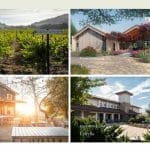 Paso Robles Label Halter Ranch Puts Down New Roots in Texas