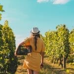 8 Best Summer Jobs for Students at Texas Wineries and Vineyards